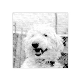 Custom Pet Photo Etched Style Gummistempel
