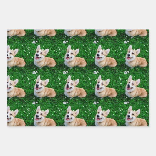 Custom Pet Photo Geschenkpapier Set (Vorderseite 3)