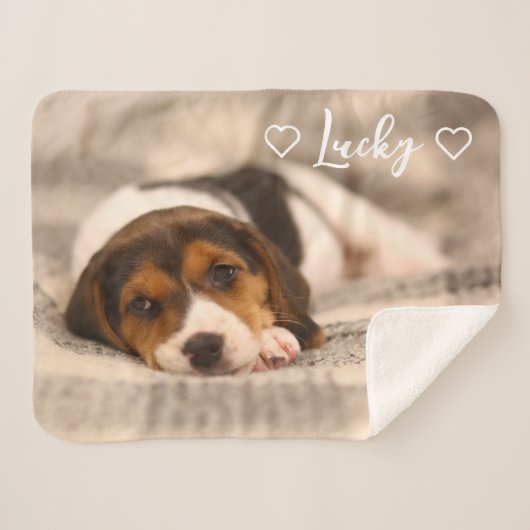 Custom Pet Photo & Name Sherpa Blanket Sherpadecke (Vorderseite (Horizontal))
