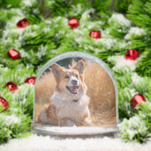 Custom Pet Photo Schneekugeln (Weihnachten)