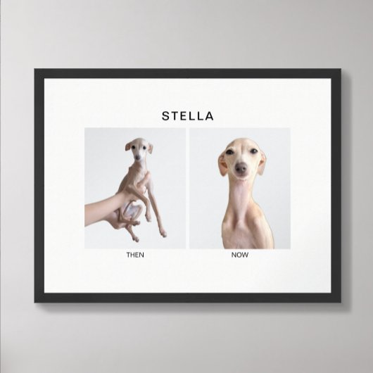 Custom Pet Portrait | Then and Now Poster