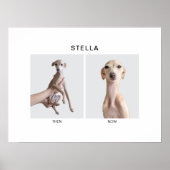 Custom Pet Portrait | Then and Now Poster (Vorne)