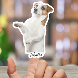 Custom Pet Stickers – Dog & Cat Photo Vinyl Decals Aufkleber