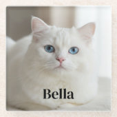 Custom photo coaster with snow white cat glasuntersetzer (Vorderseite)