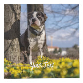 Custom Photo Cube with Text Personalized Design Würfel (Rechts)