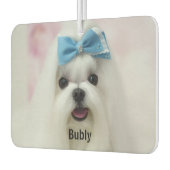 Custom Photo Text Logo Personalized Branding  Autolufterfrischer (Links)