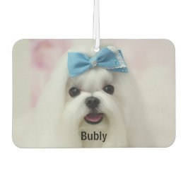 Custom Photo Text Logo Personalized Branding  Autolufterfrischer