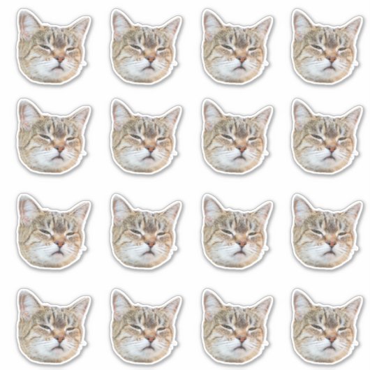 Custom Photo Waterproof Vinyl  Aufkleber (Vorderseite)