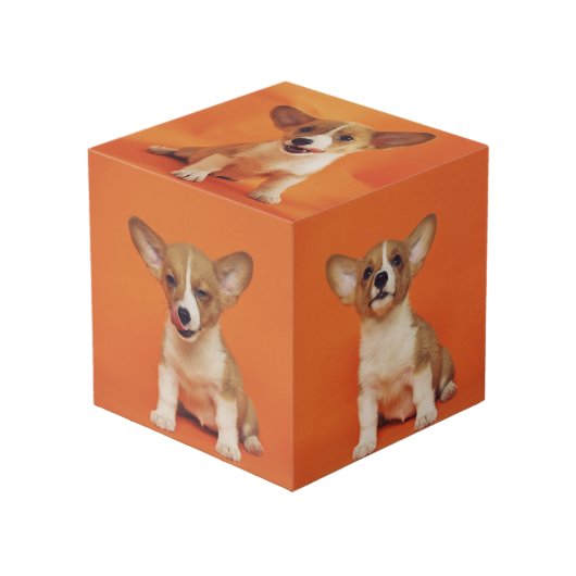 Custom Photo With Your Pet Dog 5 Picture On Würfel (Vorderseite Schrägansicht)