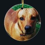 Custom Picture Personalized 2 Sided Foto Keramik Ornament<br><div class="desc">Customized Foto cards,  novelty ohrs and clothing. Create a personalized gift for birthdays and special chance.</div>