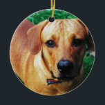 Custom Picture Personalized 2 Sided Foto Keramik Ornament<br><div class="desc">Customized Foto cards,  novelty ohrs and clothing. Create a personalized gift for birthdays and special chance.</div>