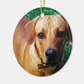 Custom Picture Personalized 2 Sided Foto Keramik Ornament (Links)