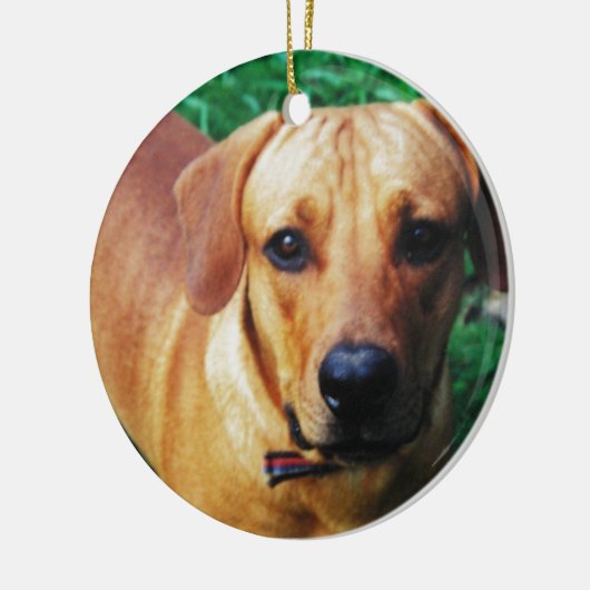 Custom Picture Personalized 2 Sided Foto Keramik Ornament (Links)