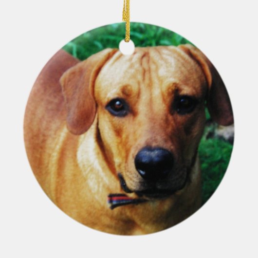 Custom Picture Personalized 2 Sided Foto Keramik Ornament (Hinten)