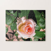 CUSTOM PINK ROSE ON VINE PUZZLE (Horizontal)