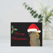 Custom Posing santa Urlaub Cockatovogel Feiertagspostkarte (Stehend Vorderseite)
