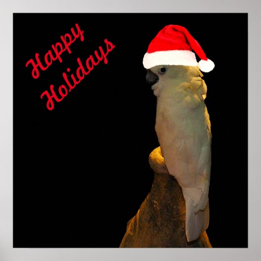 Custom Posing santa Urlaub Cockatovogel Poster (Vorne)