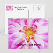 Custom Post Cards Pink Dahlia Blume Floral Postkarte (Vorne/Hinten)