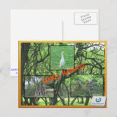 CUSTOM POSTCARDS- HAWAII COLLAGE# 14 POSTKARTE (Vorne/Hinten)