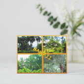 CUSTOM POSTCARDS- HAWAII COLLAGE# 22 POSTKARTE (Stehend Vorderseite)