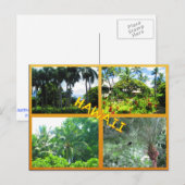 CUSTOM POSTCARDS- HAWAII COLLAGE# 22 POSTKARTE (Vorne/Hinten)