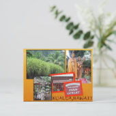 CUSTOM POSTCARDS- HAWAII COLLAGE# 25 POSTKARTE (Stehend Vorderseite)