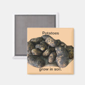Custom Potato Magnets, harvested Magnet (Vorderseite/Rückseite)