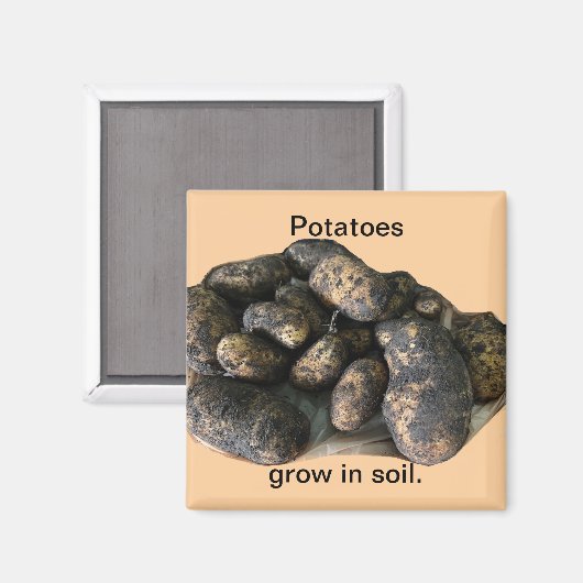 Custom Potato Magnets, harvested Magnet (Vorderseite/Rückseite)