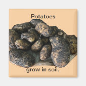 Custom Potato Magnets, harvested Magnet (Vorne)