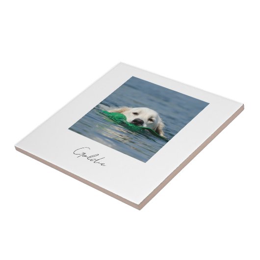 Custom print personalized ceramic dog photo fliese (Seite)