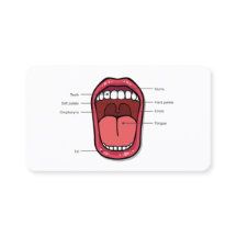 Custom QR Speech Therapist