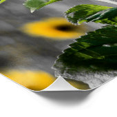 Custom Quote Field of Sunflowers Poster (Ecke)