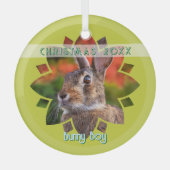 Custom Rabbit Photo on Yellow Green Ornament Aus Glas (Vorderseite)