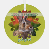 Custom Rabbit Photo on Yellow Green Ornament Aus Glas (Rückseite)
