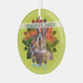 Custom Rabbit Photo on Yellow Green Ornament Aus Glas (Vorderseite links)