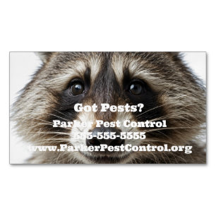 Custom Raccoon Pest Kontrolle Business Card Magnet