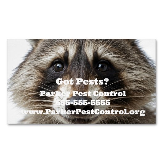 Custom Raccoon Pest Kontrolle Business Card Magnet (Vorderseite)