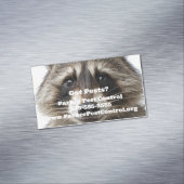 Custom Raccoon Pest Kontrolle Business Card Magnet (Beispiel)