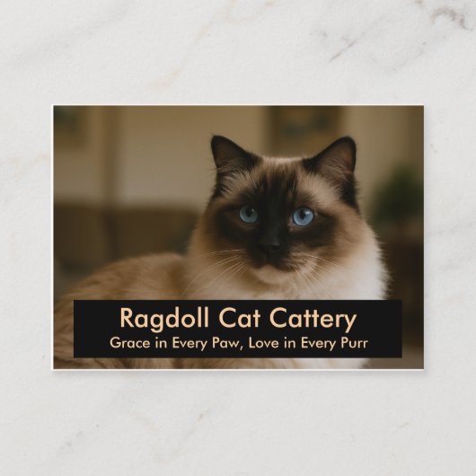 Custom Ragdoll Cat Cattery Business Card - Elegant Visitenkarte (Vorderseite)
