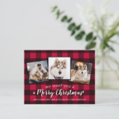 Custom Red Kariert Pet Foto Collage Dog Lover Holi Postkarte (Stehend Vorderseite)