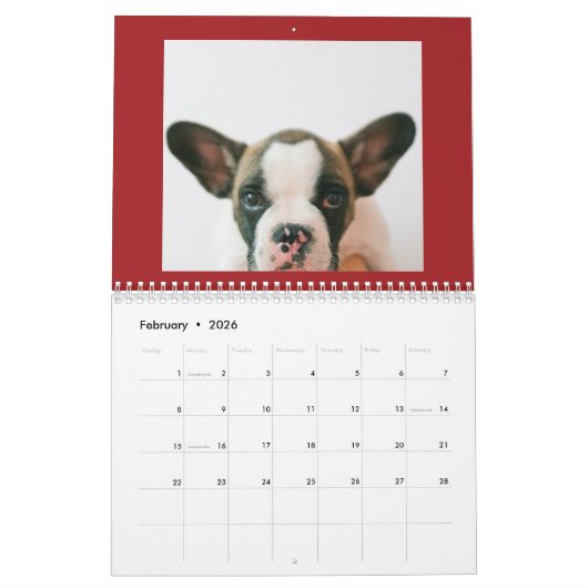 Custom Red Pet Photo  Kalender (Feb 2026)