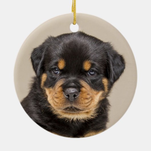 Custom Rottweiler Puppy Dog Foto Keramik Ornament (Hinten)