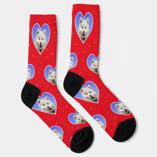 Custom Samoyed Hund Foto auf Red Crew Socken (Rechts)