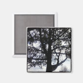 Custom Shadowy Pine Tree Square Magnet (Vorderseite/Rückseite)
