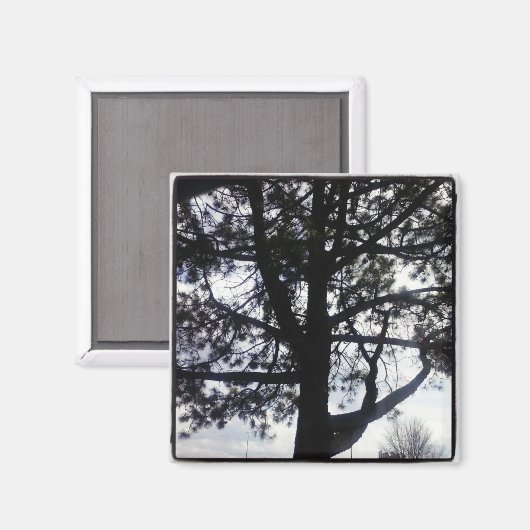 Custom Shadowy Pine Tree Square Magnet (Vorderseite/Rückseite)