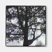 Custom Shadowy Pine Tree Square Magnet (Vorne)