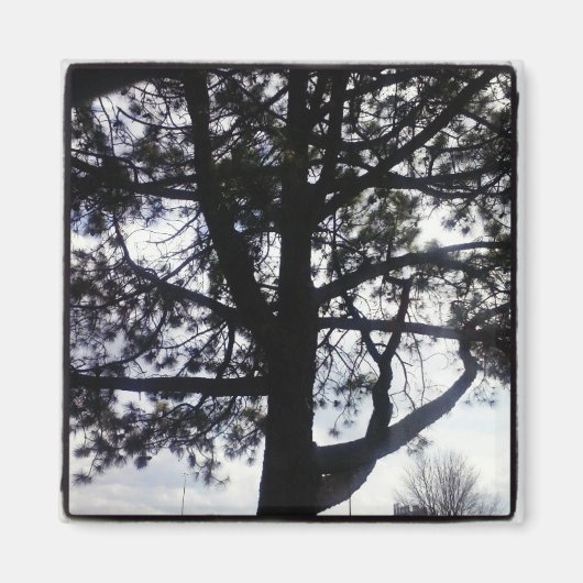 Custom Shadowy Pine Tree Square Magnet (Vorne)