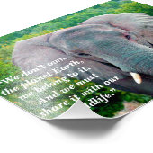 Custom Slogan/Conservation Elephant Bull Fotodruck (Ecke)