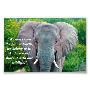 Custom Slogan/Conservation Elephant Bull Fotodruck