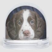 Custom Spanel Puppy Dog Foto Schneekugeln (Rückseite)